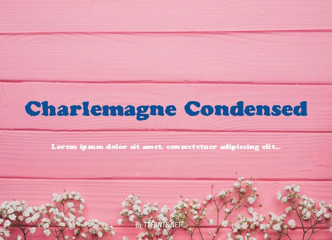 Charlemagne Condensed example